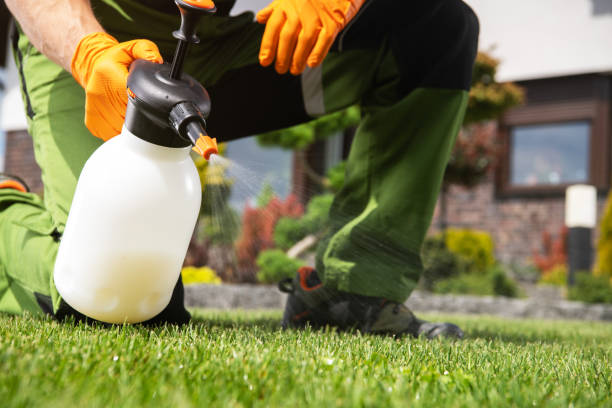 Best Residential Pest Control  in Burbank, WA