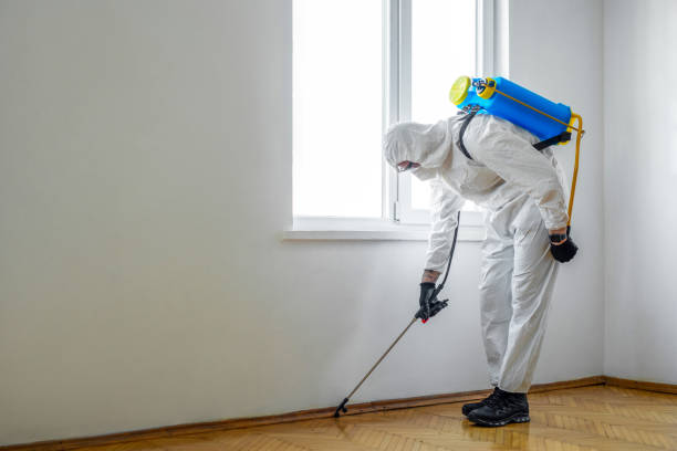 Best Pest Prevention Services  in Burbank, WA