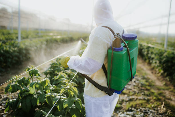 Best Pest Removal Services  in Burbank, WA